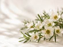 Odour control benefit of foot sanitiser